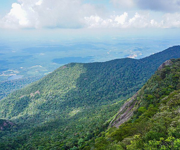 https://www.tripadvisor.co.uk/Attraction_Review-g2301780-d1213889-Reviews-Gunung_Ledang_Mount_Ophir-Ledang_District_Johor.html